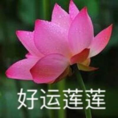 华为再诉传音 涉及图像显示专利